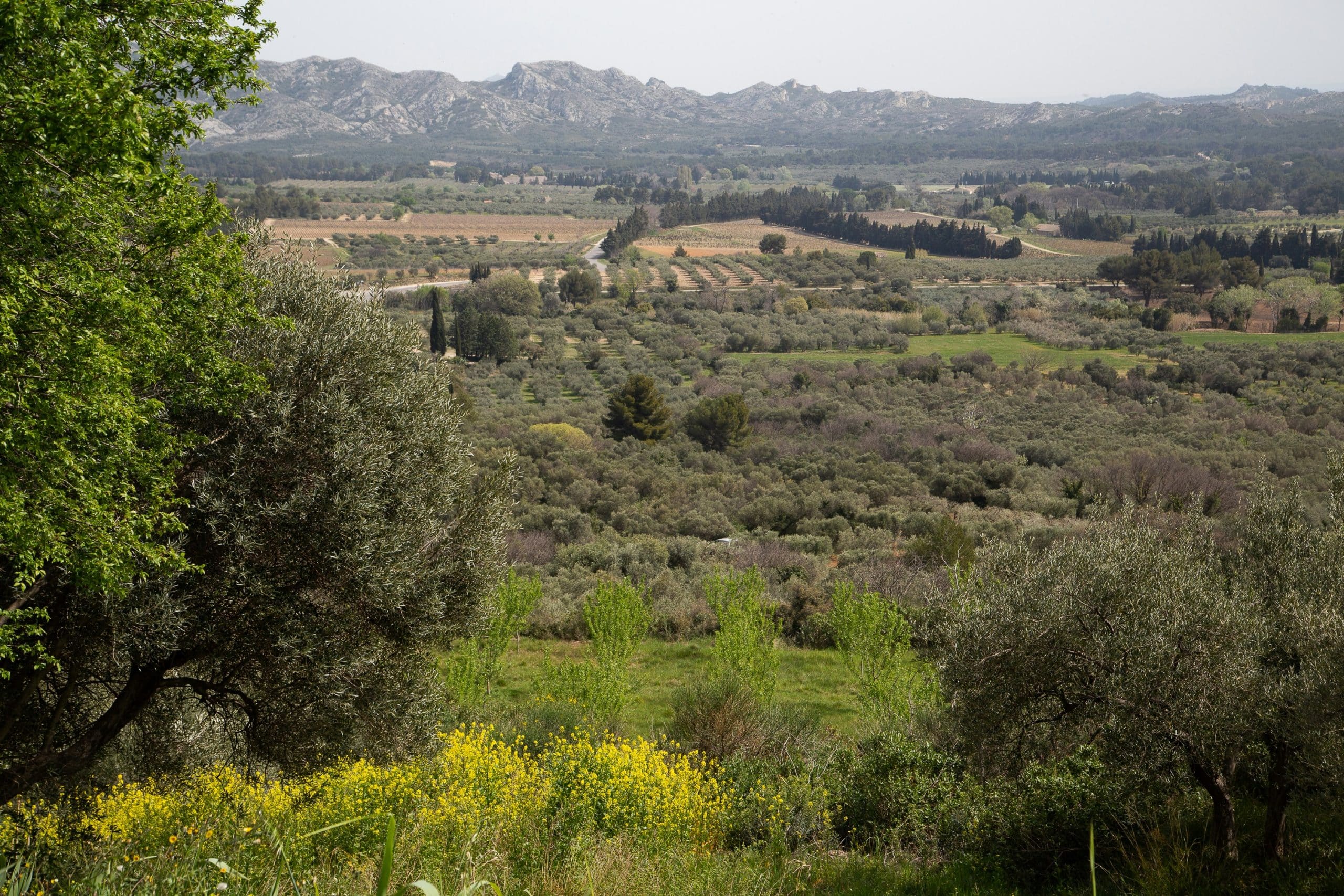 BRIGITTE - le point de vue sur la vallée des BAUX DE PROVENCE oeuvre naturel paysage sauvage de Provence - LES VOYAGES FRANJEAU