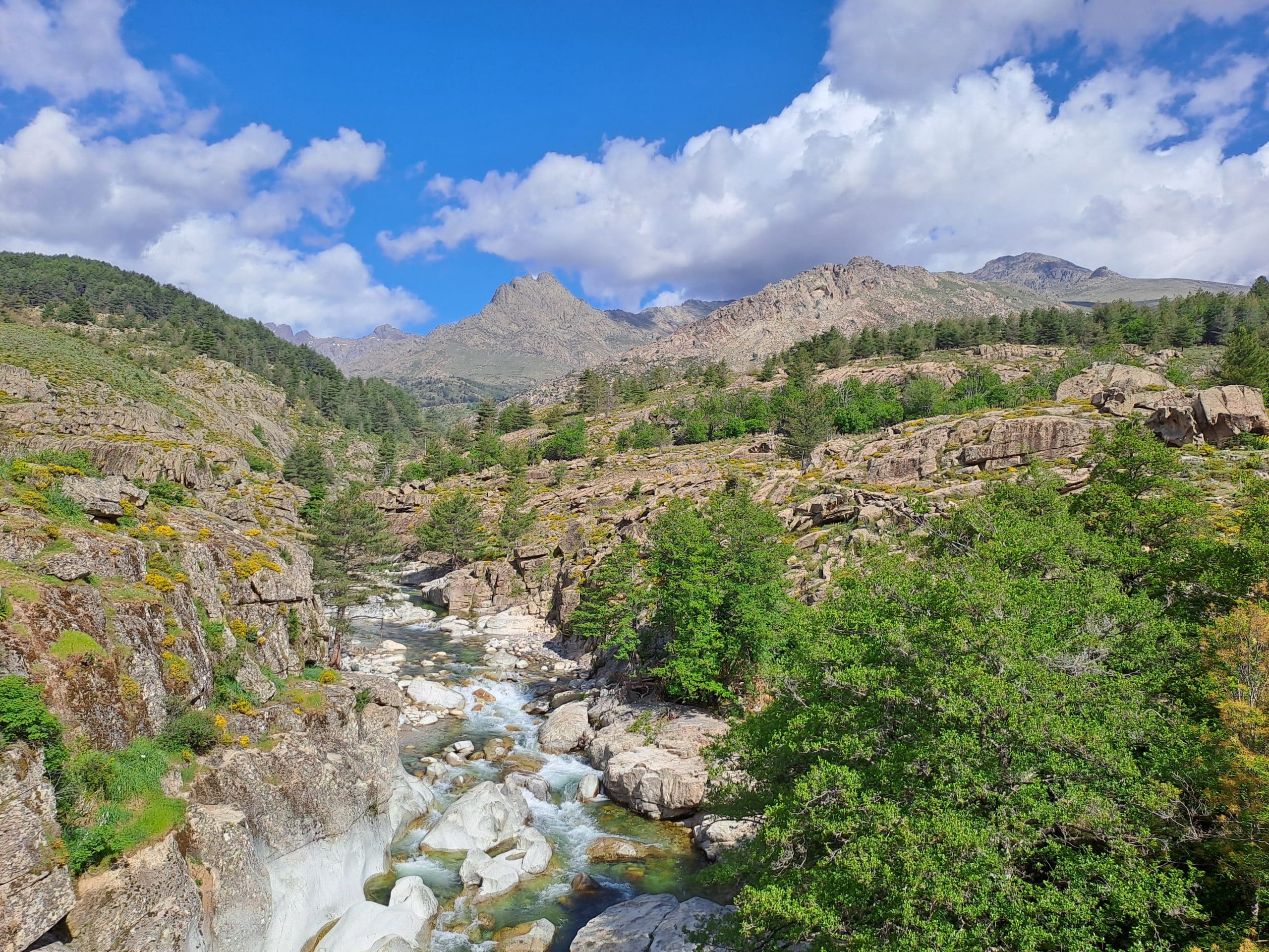 BRIGITTE - paysage corse grand tour de corse FALAISES - LES VOYAGES FRANJEAU