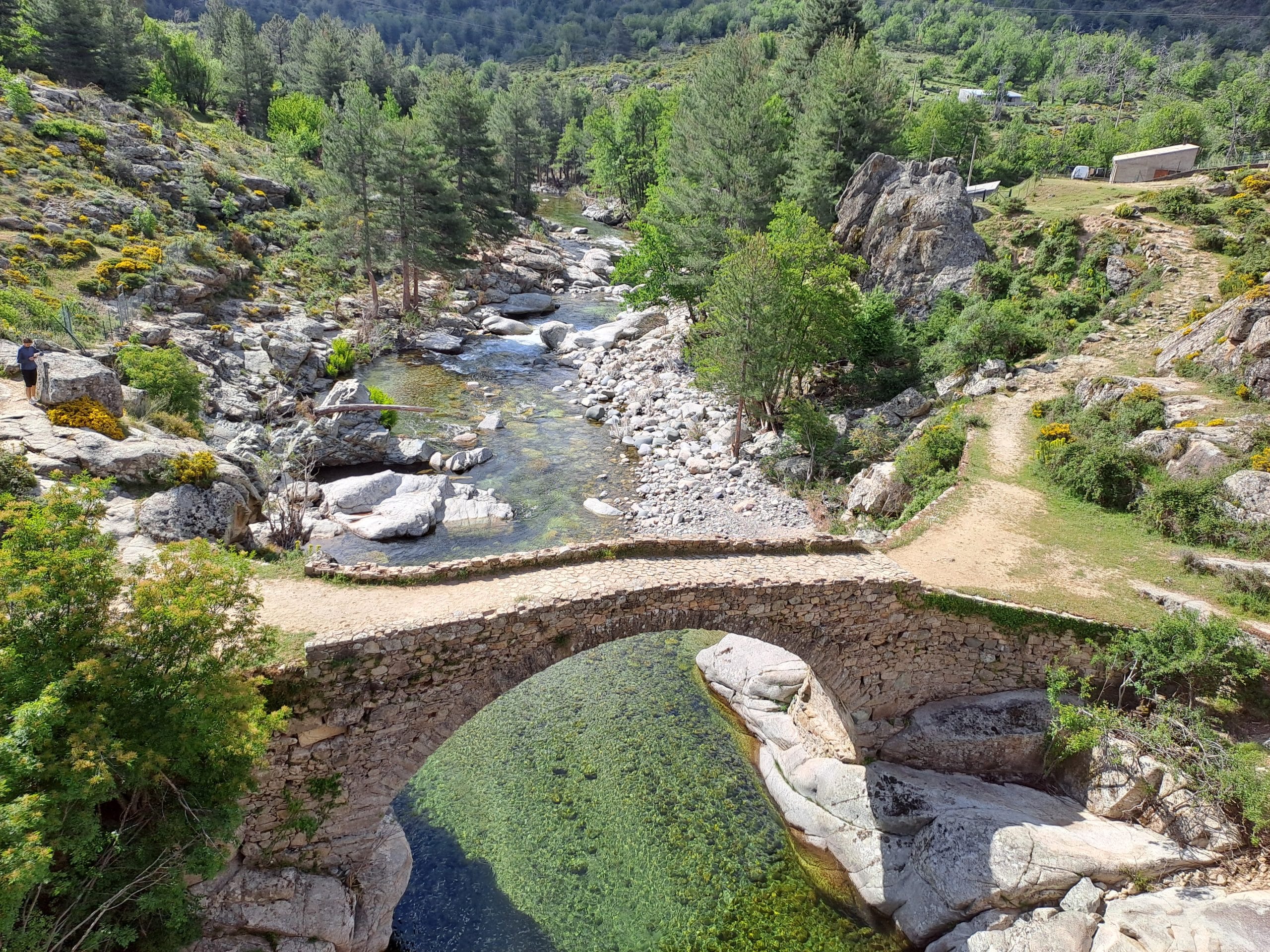BRIGITTE- pont génois corse rivière soleil foret grand tour de corse - LES VOYAGES FRANJEAU