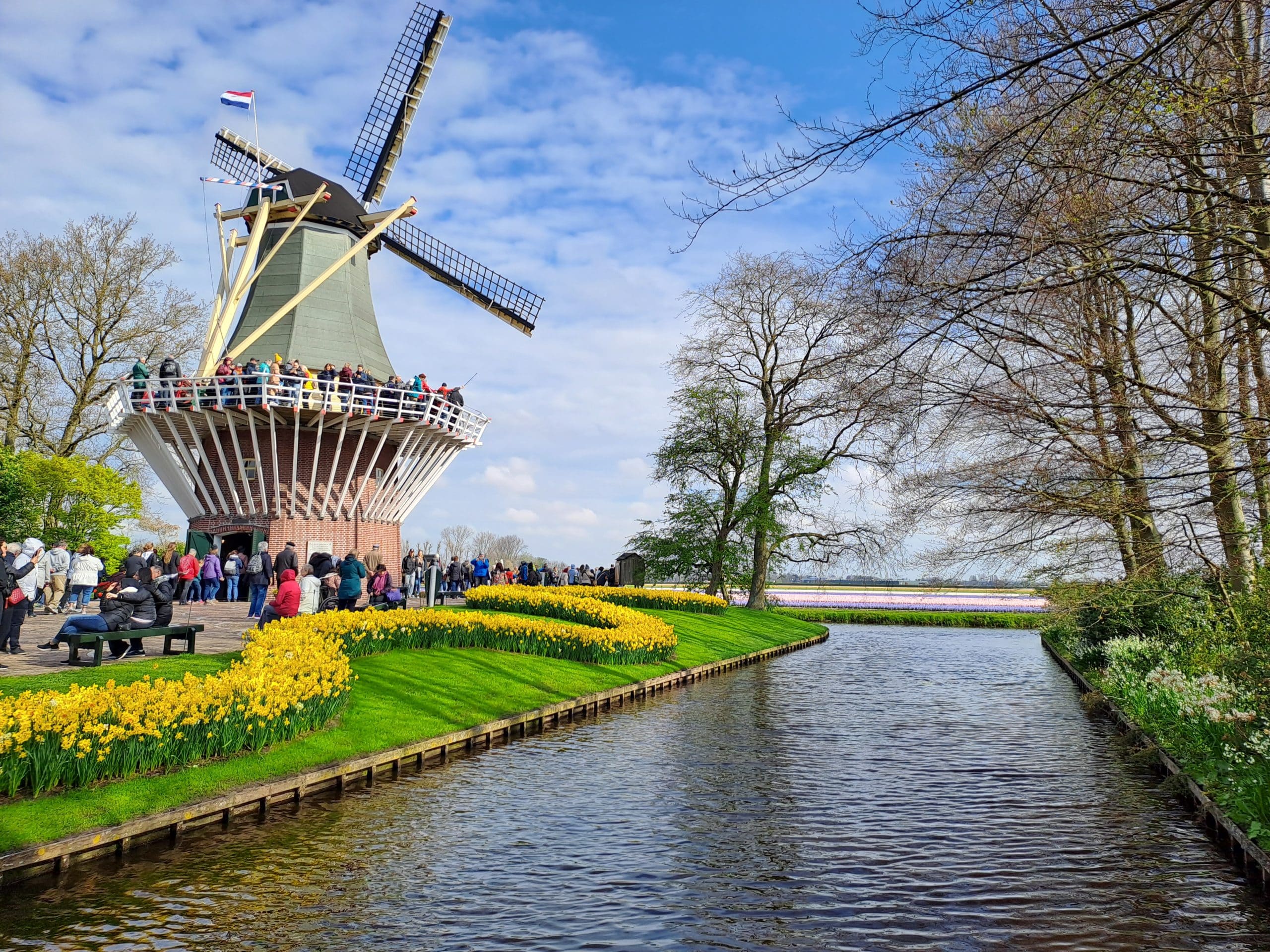 Brigitte - Le parc Keukenhof voyage en groupe depuis le TARN Hérault et l_Aveyron - LES VOYAGES FRANJEAU