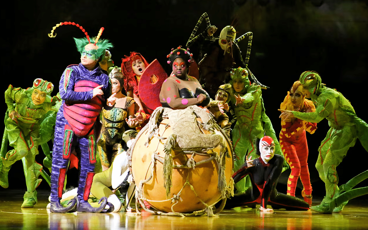 OVO - spectacle journée accompagnée au départ de l'aveyron - lecirquedusoleil.com