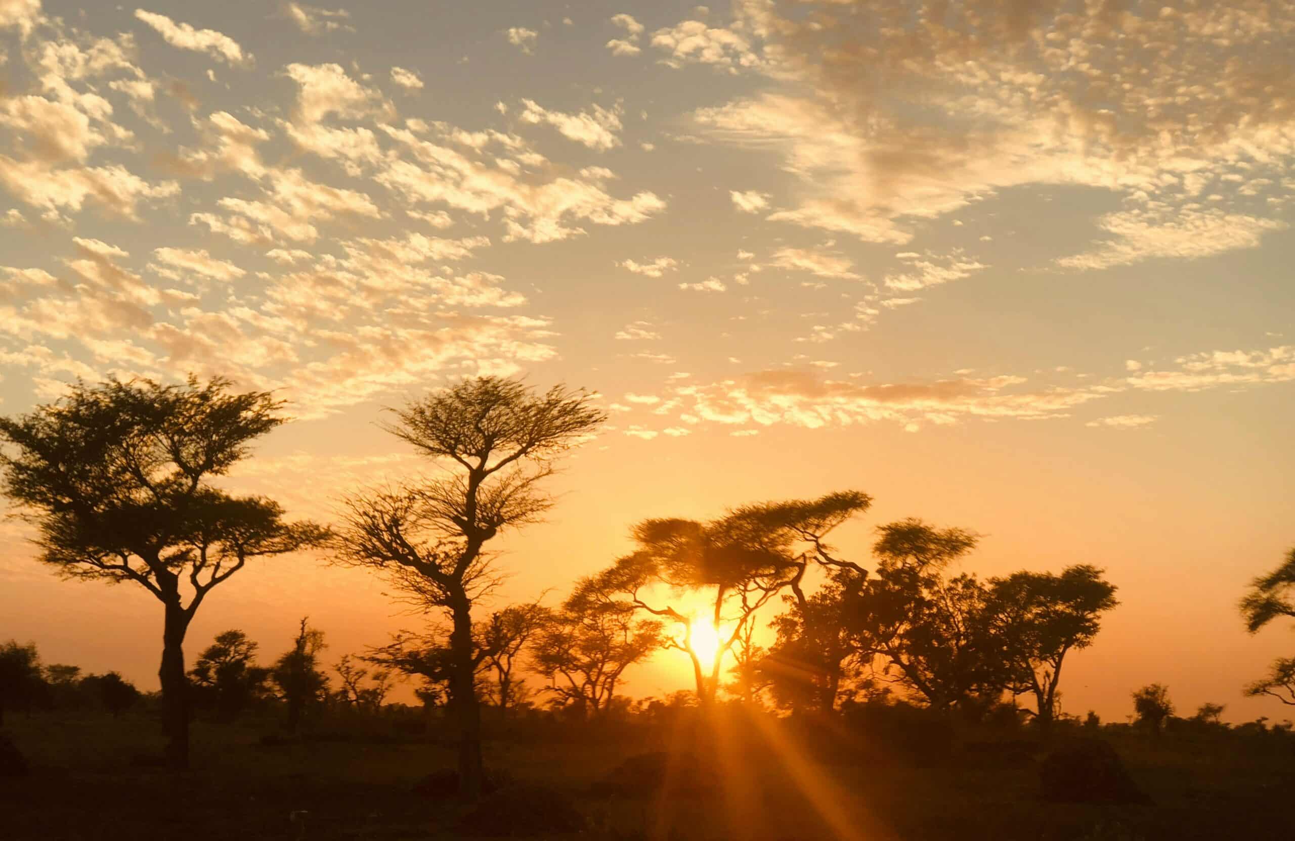 awa-aidara-Le Parc Nationale des Oiseaux du Djoudj voyages accompagné depuis la France -unsplash