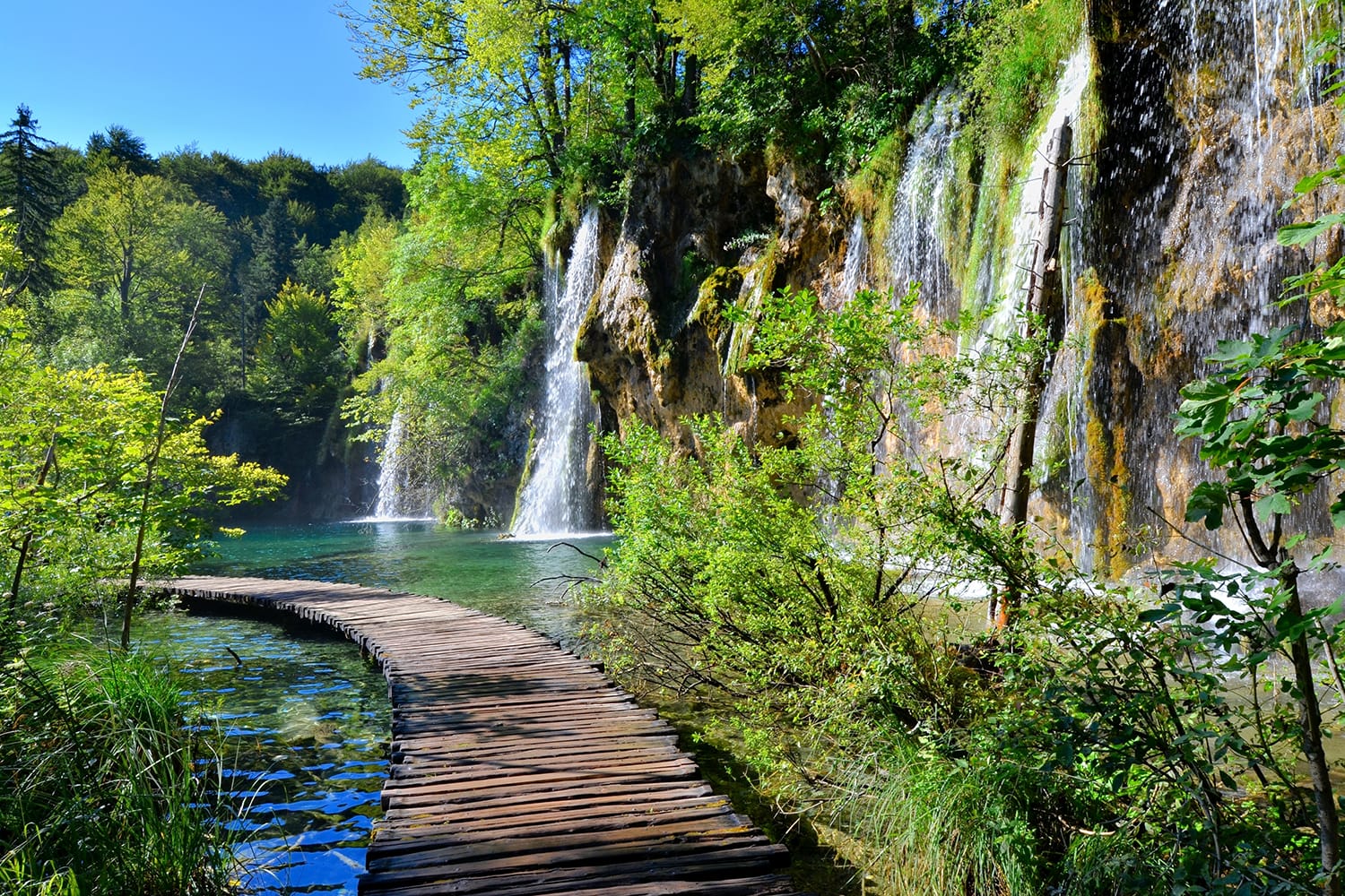 boardwalk-plitvice-lakes-national-park-croatia parc naturel UNESCO voyages groupes-shutterstock_367933649