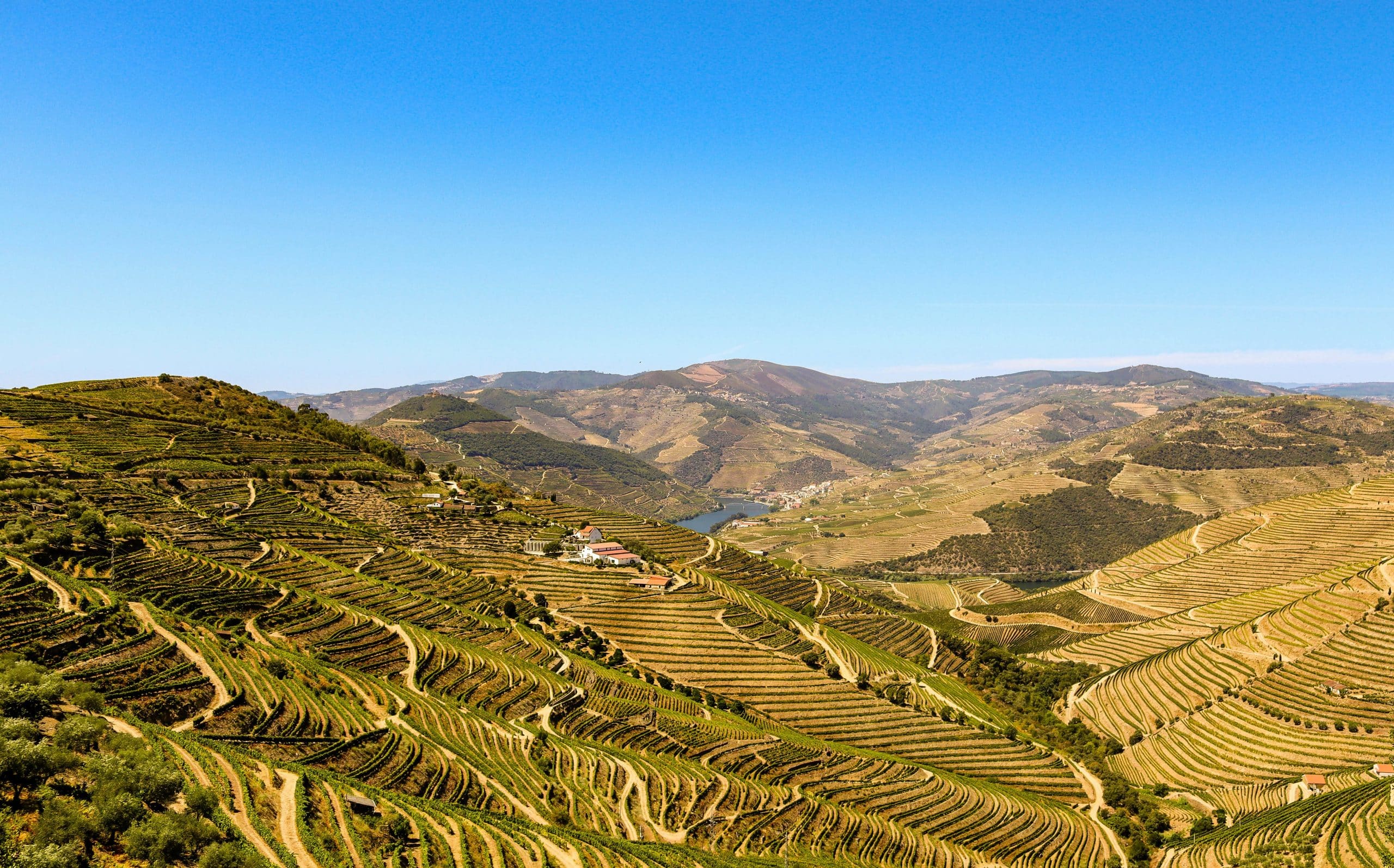 bruno-ferreira-PAYSAGE DOURO PORTO VOYAGE GROUPE PORTUGAL CAMPAGNE EUROPE-unsplash