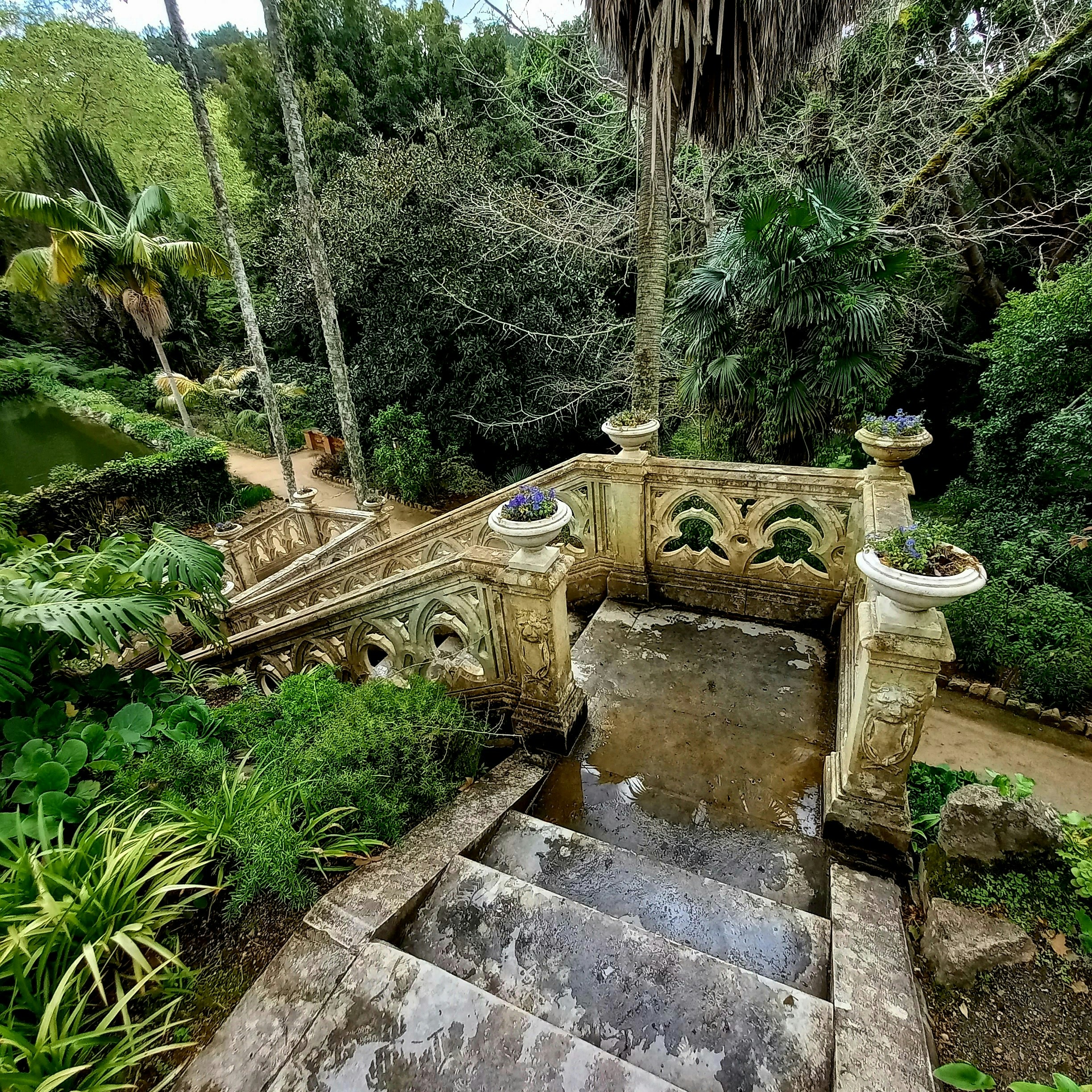 magno-araujo-jardin sintra royal voyage au portugal balade plantes botanique sculpture-unsplash