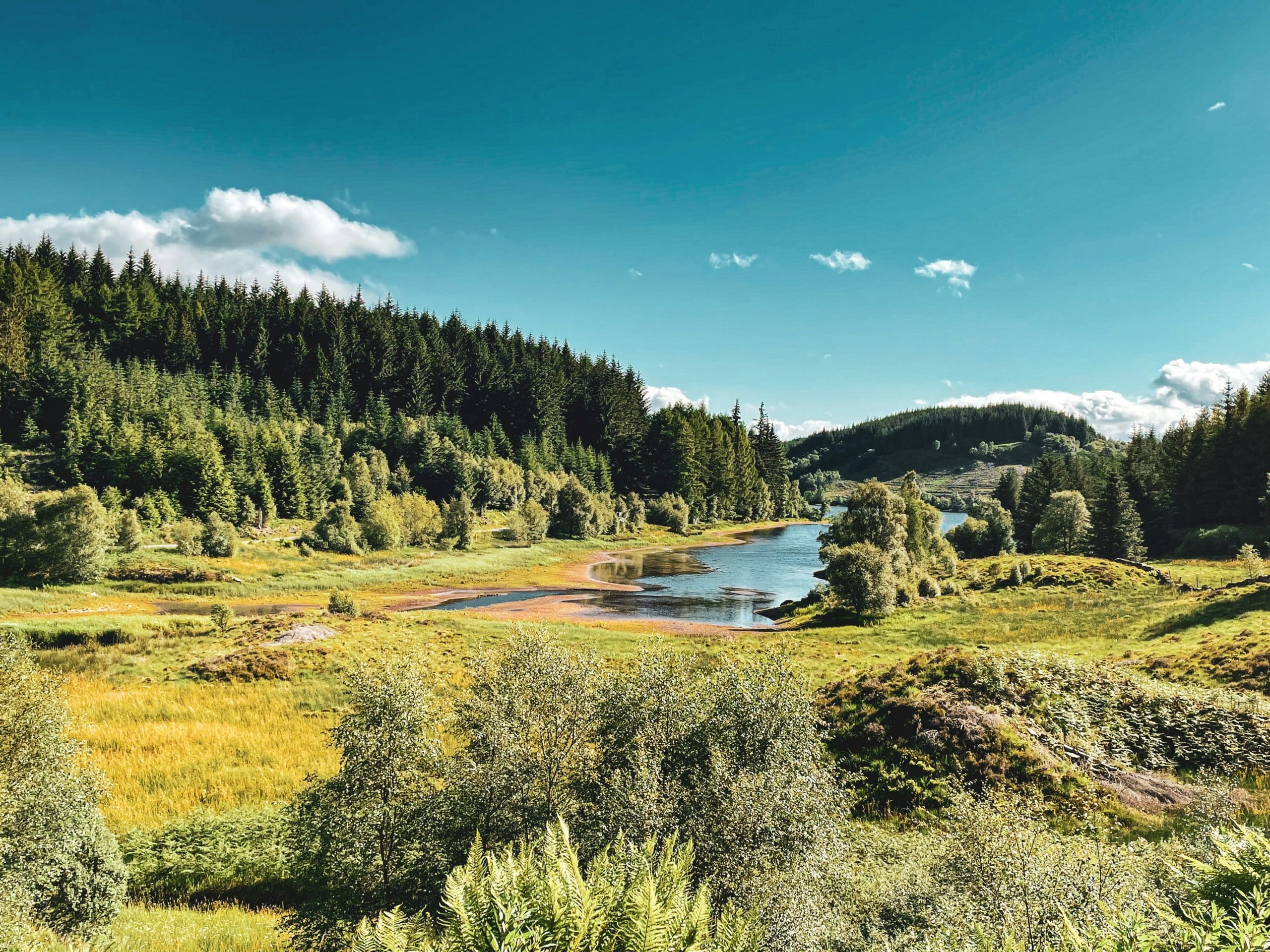 ruth-dacre-design-Parc national des Trossachs -unsplash