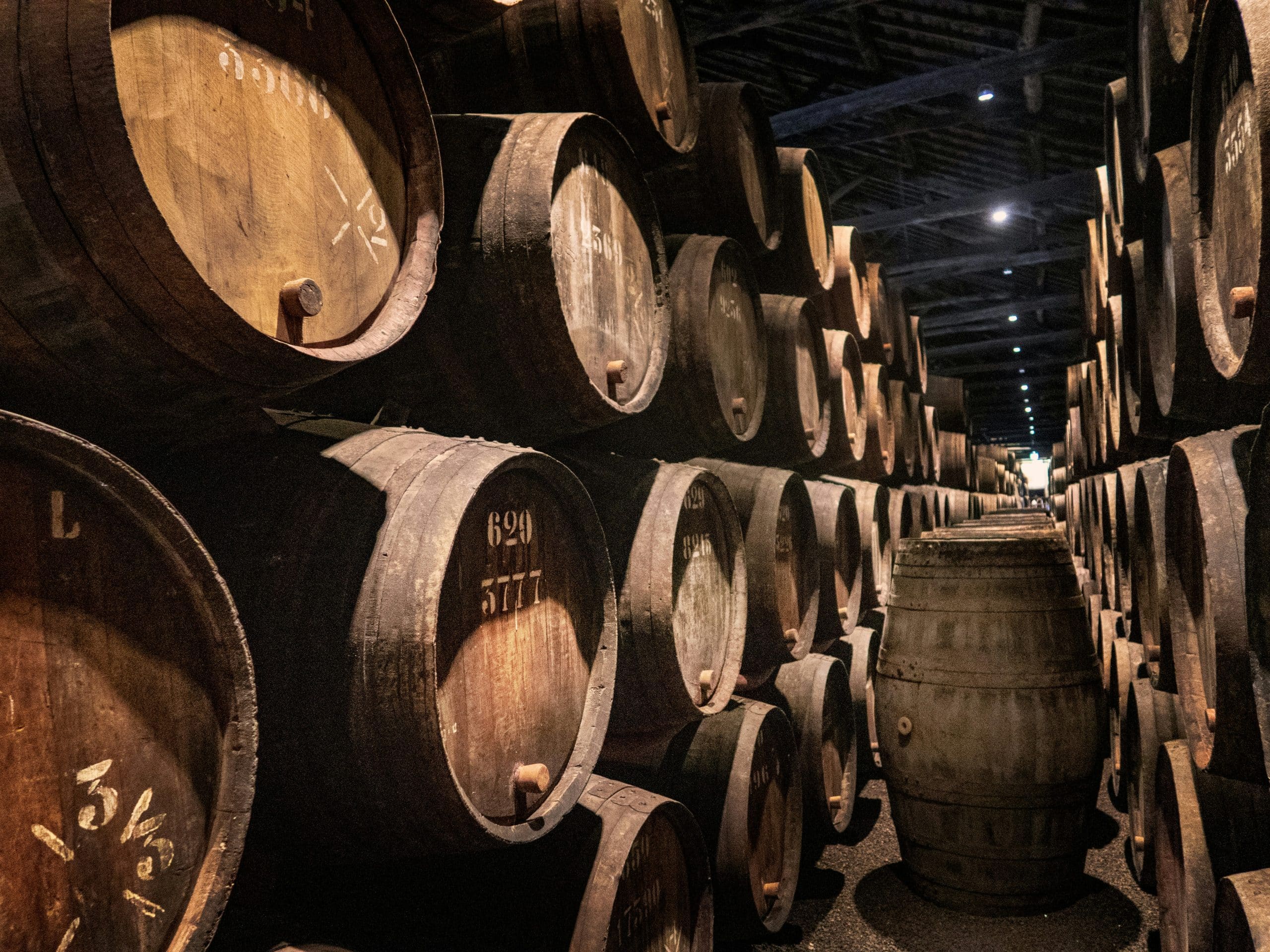 svetlana-gumerova-PORTO CHAIS VIN DEGUSTATION VISITE GUIDEE-unsplash