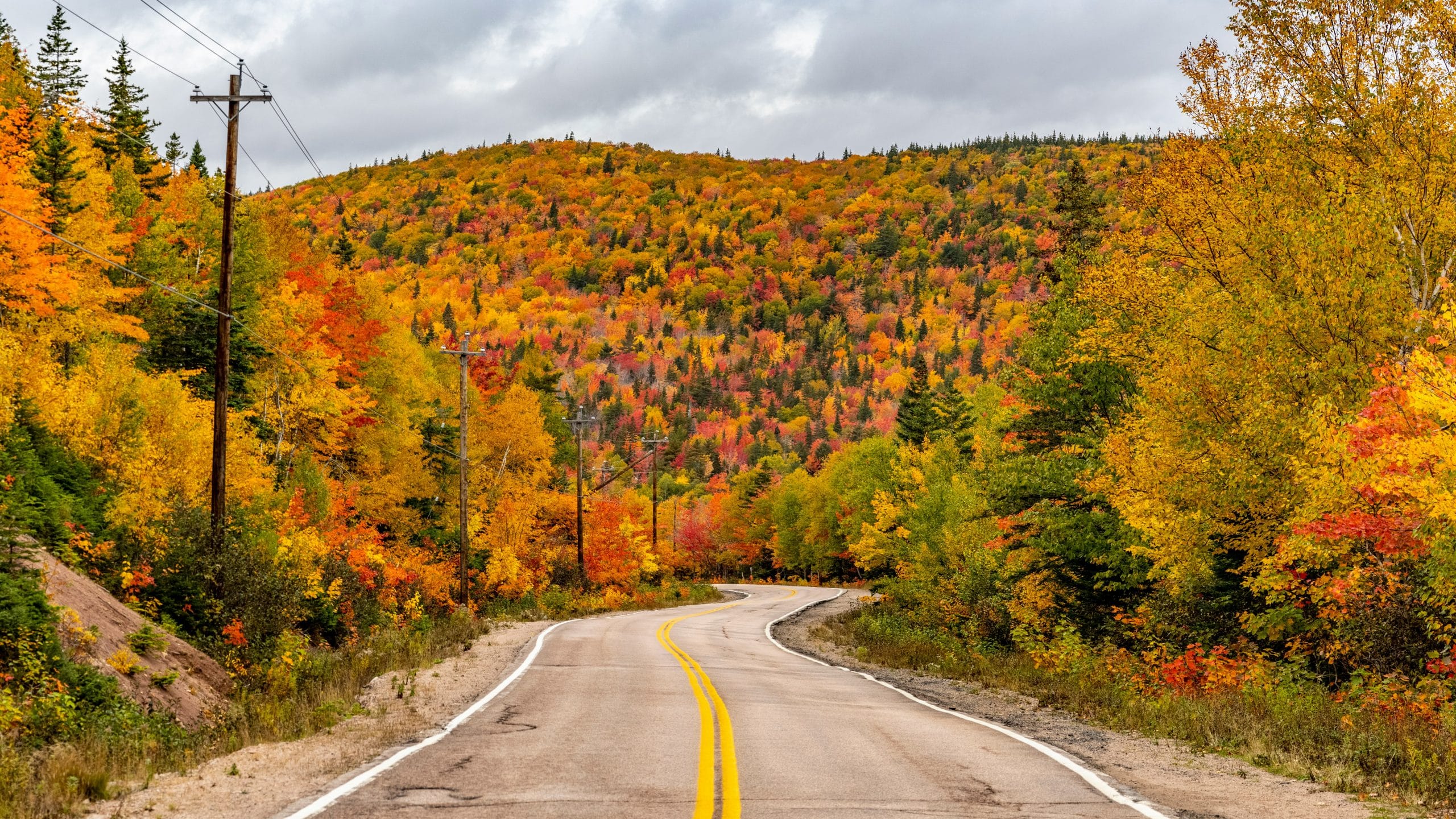 thomas-lipke-L'été indien canadien foret route couleurs épopée franjeau-unsplash
