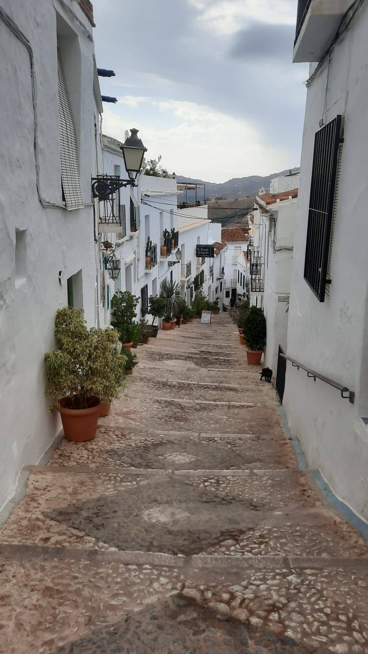 QUINCAY - BRIGITTE- le quartier de l'Albacin promenade organisée en agence de voyagte - LES VOYAGES FRANJEAU