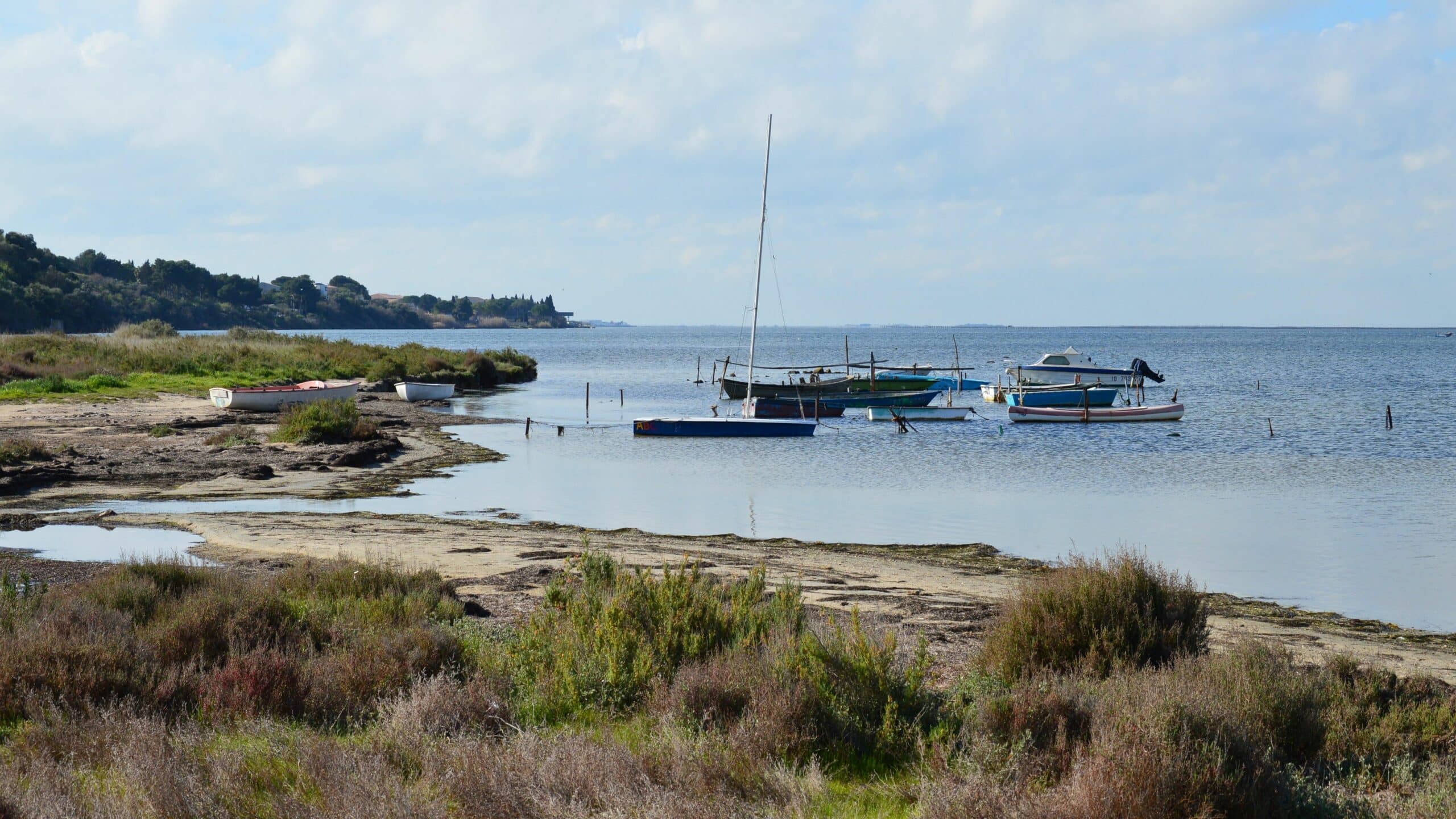 pexels-slimmars-Etang de Thau lac et lagune de la mer méditerrannée -31680243