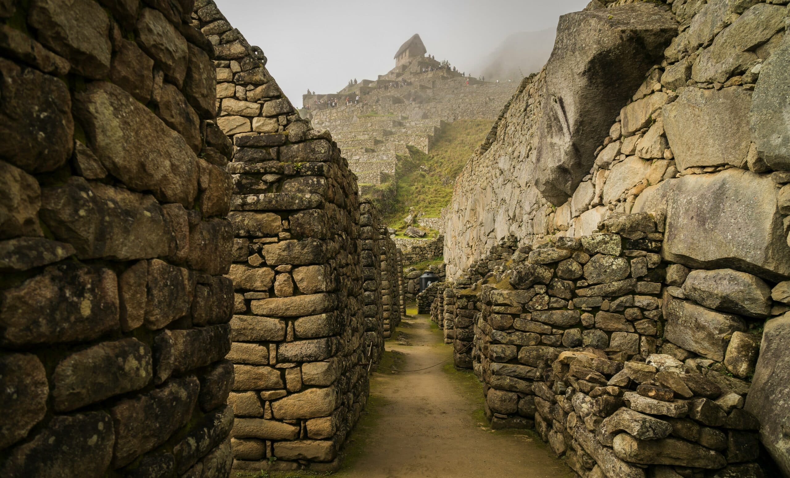 willian-justen-de-vasconcellos-kNbq1SHfLd8-unsplash
