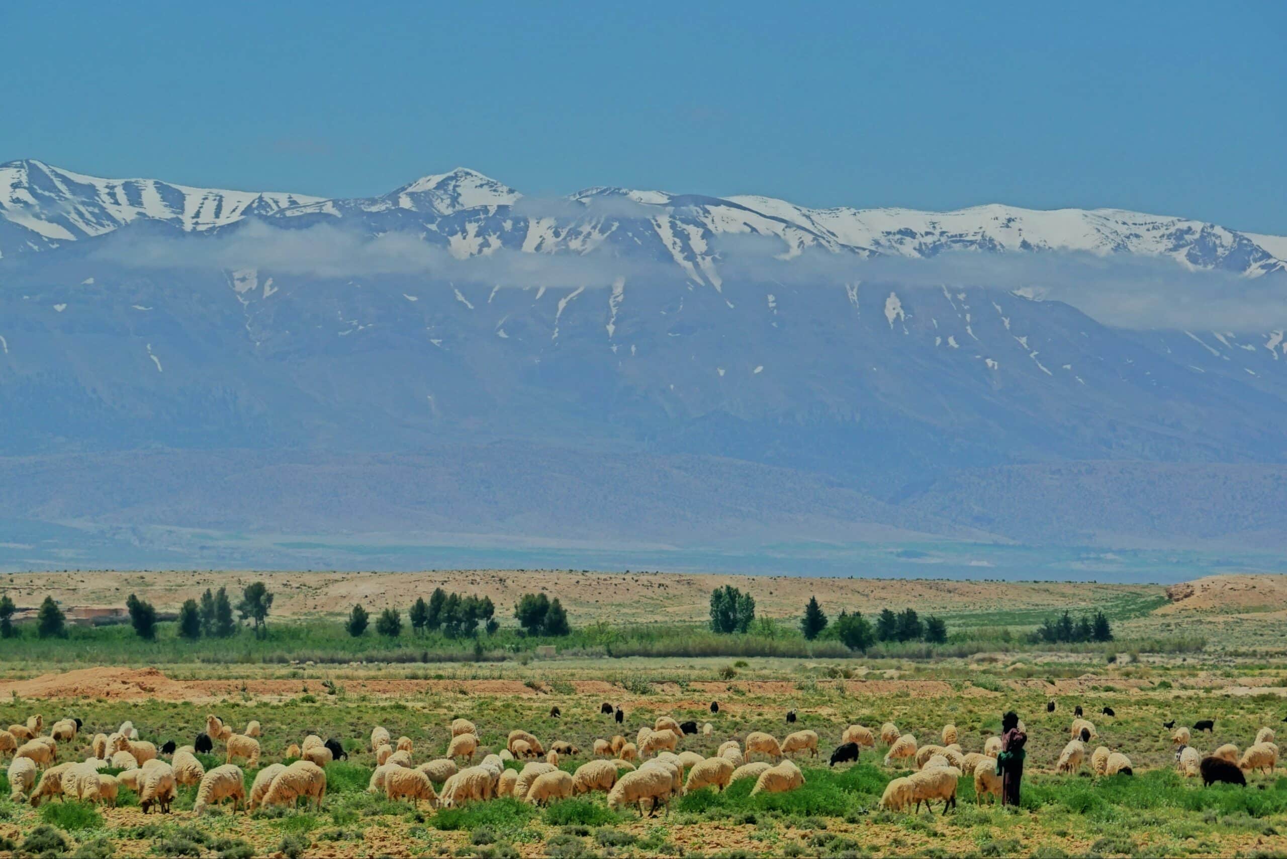 tienko-dima-Les montagnes de l'Atlas paysages magnifique nord afrique -unsplash