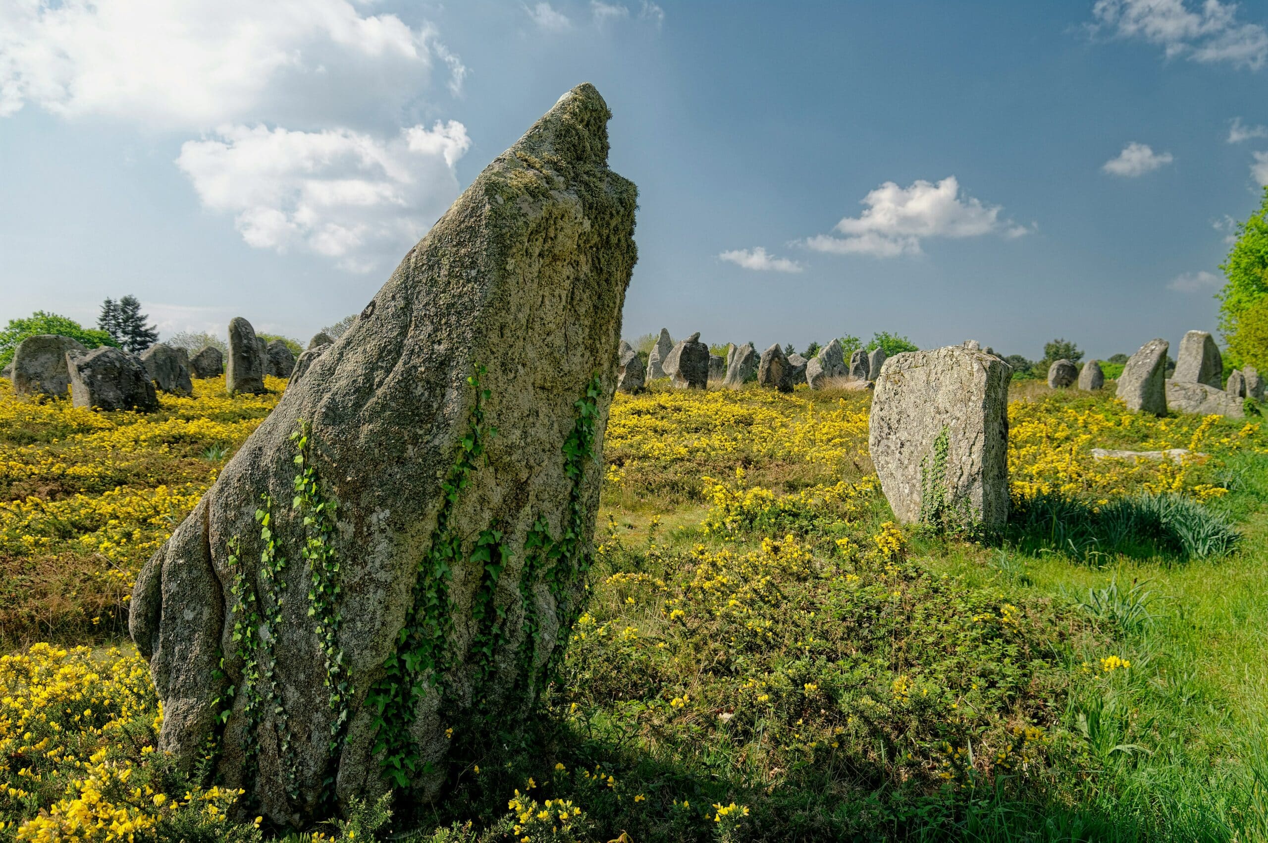 andreas-brunn--Carnac mystère voyage en groupe accompagné unsplash
