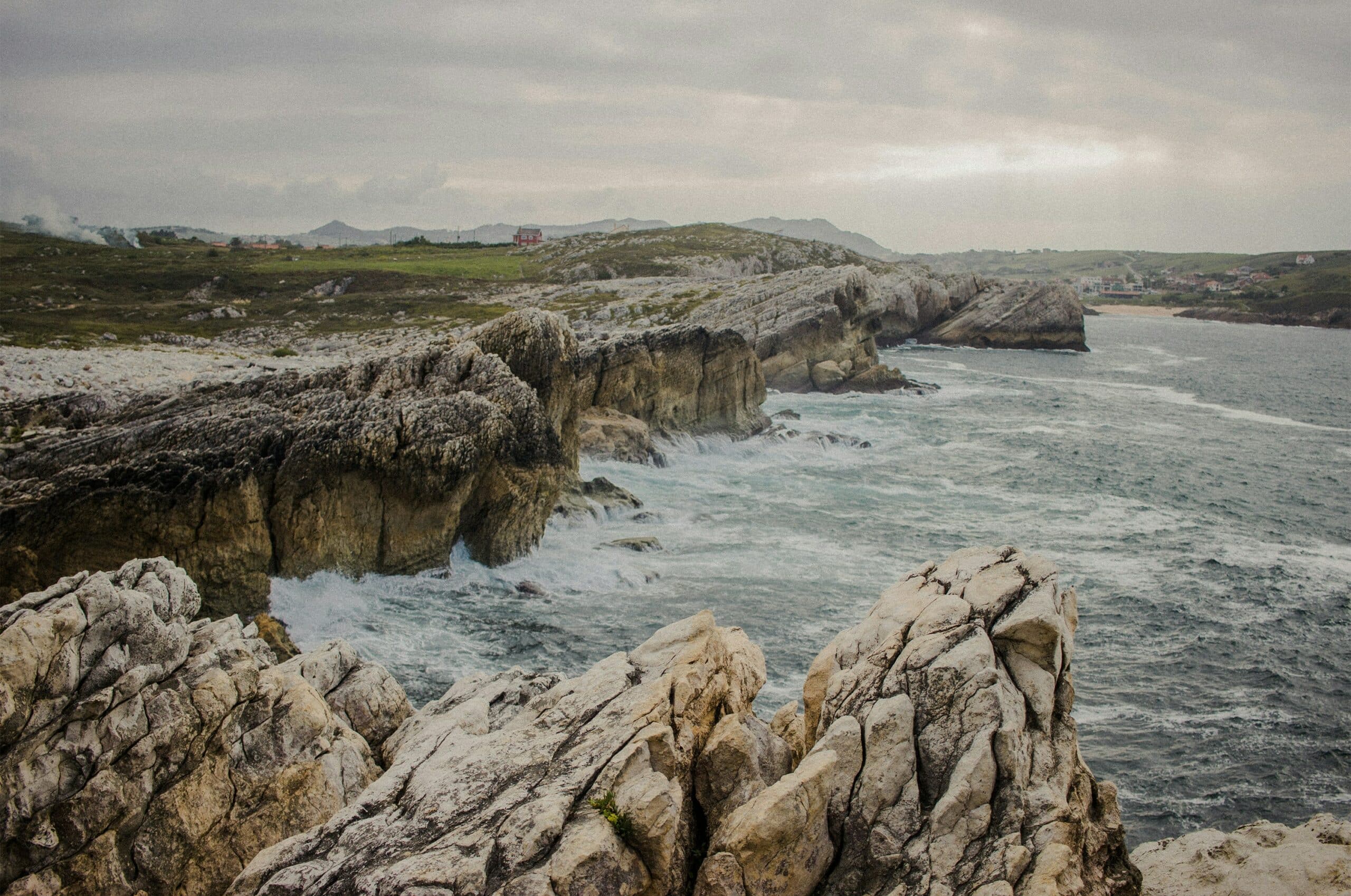 la-pajara-azul-YuymOTdJy8c-unsplash
